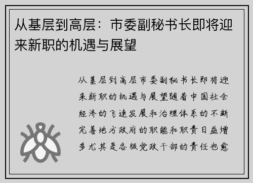 从基层到高层：市委副秘书长即将迎来新职的机遇与展望