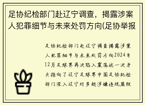 足协纪检部门赴辽宁调查，揭露涉案人犯罪细节与未来处罚方向(足协举报电话)