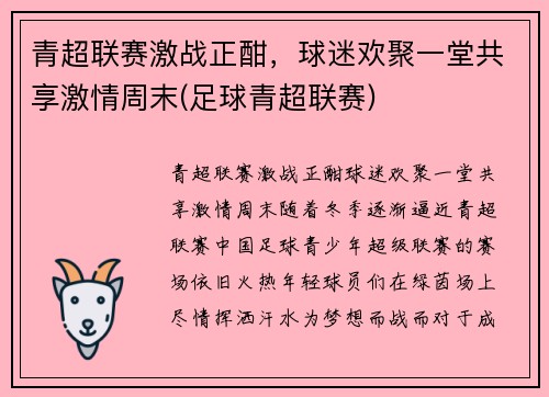 青超联赛激战正酣，球迷欢聚一堂共享激情周末(足球青超联赛)
