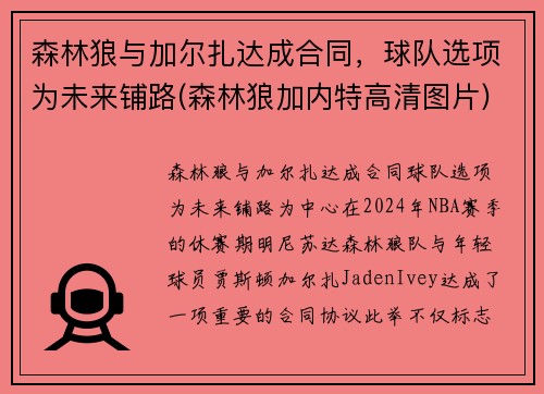森林狼与加尔扎达成合同，球队选项为未来铺路(森林狼加内特高清图片)