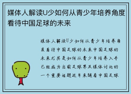 媒体人解读U少如何从青少年培养角度看待中国足球的未来