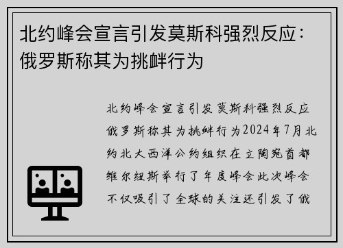 北约峰会宣言引发莫斯科强烈反应：俄罗斯称其为挑衅行为