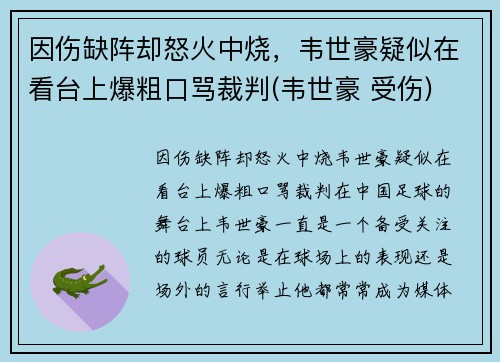 因伤缺阵却怒火中烧，韦世豪疑似在看台上爆粗口骂裁判(韦世豪 受伤)