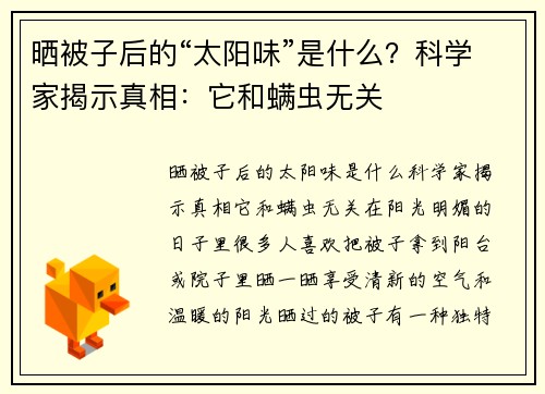 晒被子后的“太阳味”是什么？科学家揭示真相：它和螨虫无关